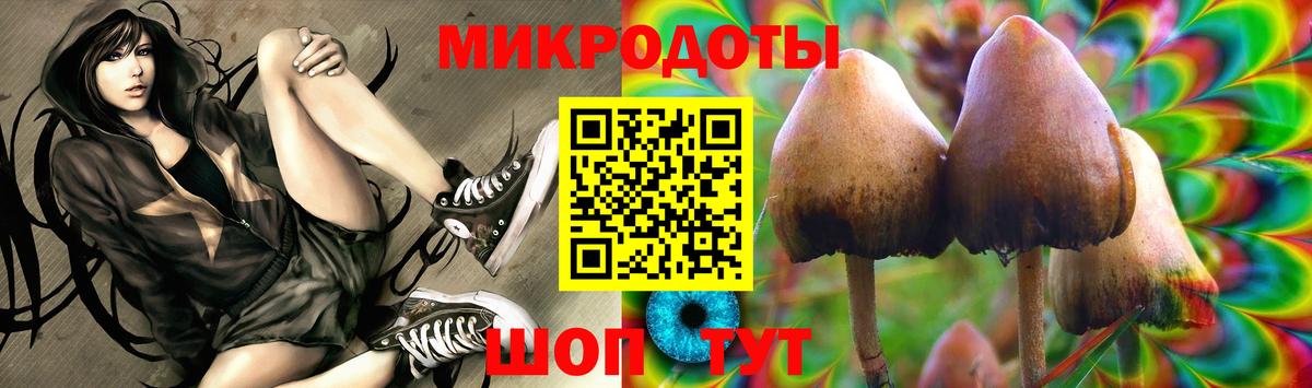Псилоцибиновые грибы GOLDEN TEACHER Балашиха