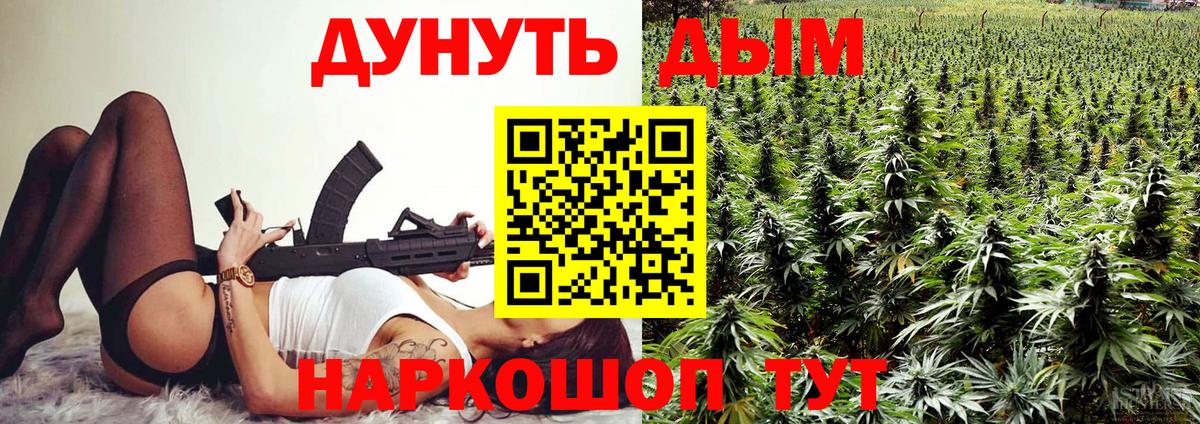 Бошки Шишки семена  Конопля гибрид  Балашиха  Вход с VPN 